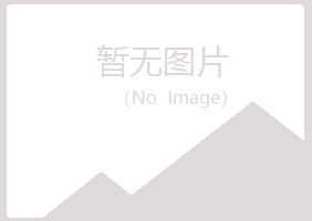 八公山区含蕾咨询有限公司